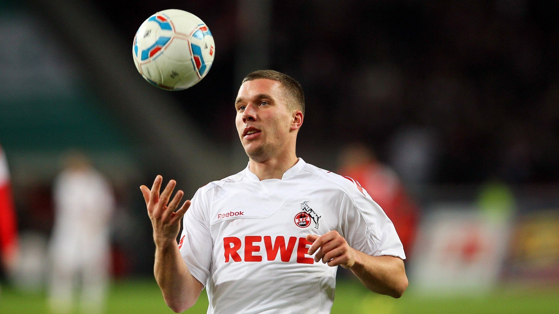 明尼苏达森林狼英文